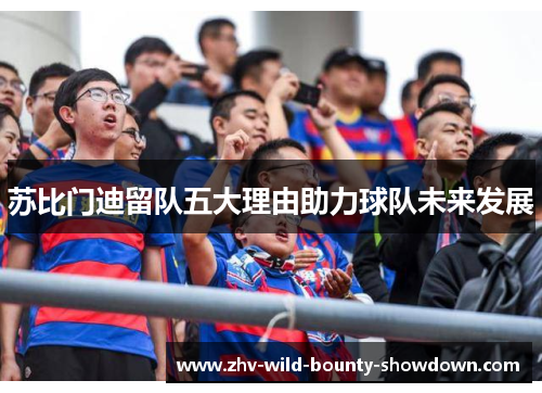 苏比门迪留队五大理由助力球队未来发展