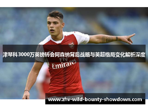 津琴科3000万英镑转会阿森纳背后战略与英超格局变化解析深度